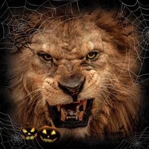 Meet your Posher, Jorge